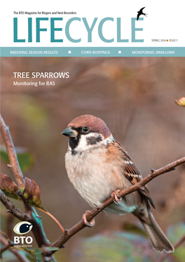 TREE SPARROWS Monitoring for RAS EDITORIAL | Editorial and Contents