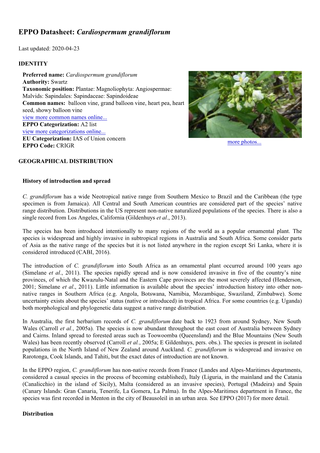 EPPO Datasheet: Cardiospermum Grandiflorum