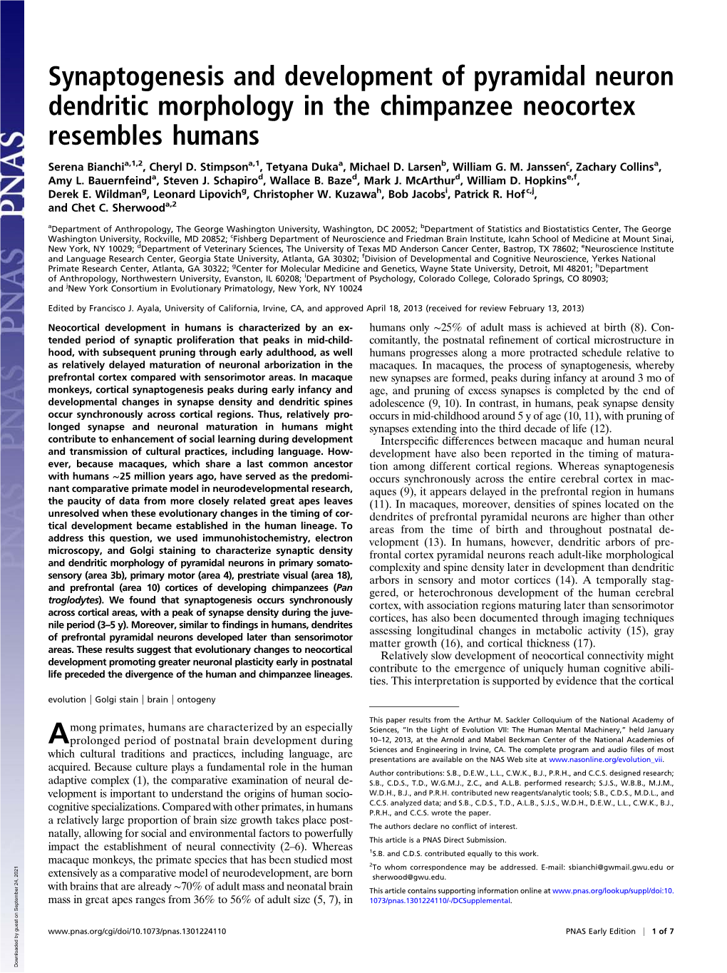 Synaptogenesis And Development Of Pyramidal Neuron Dendritic Morphology