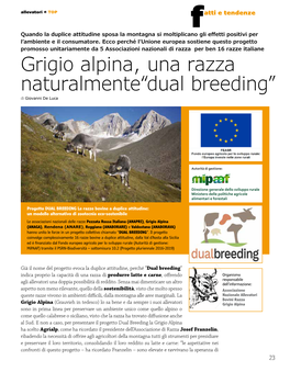 Grigio Alpina, Una Razza Naturalmente“Dual Breeding” Di Giovanni De Luca