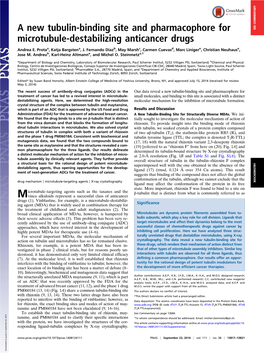 A New Tubulin-Binding Site and Pharmacophore for Microtubule