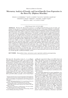 And Larval-Specific Gene Expression in the Horn Fly (Diptera