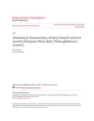 Anatomical Characteristics of Stem, Branch and Root Wood in European Black Alder (Alnus Glutinosa L