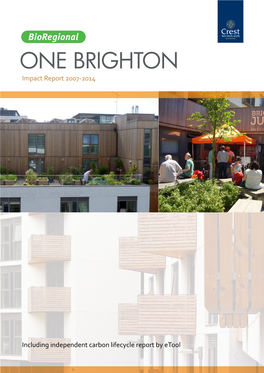 One-Brighton-Impact-Report