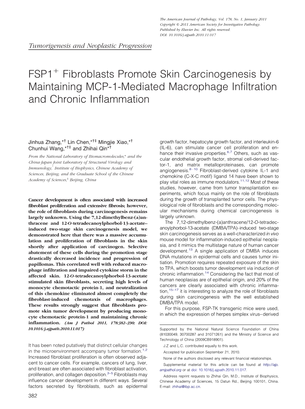 FSP1 Fibroblasts Promote Skin Carcinogenesis by Maintaining