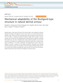 Mechanical Adaptability of the Bouligand-Type Structure in Natural Dermal Armour