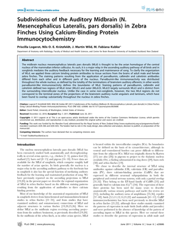 In Zebra Finches Using Calcium-Binding Protein Immunocytochemistry