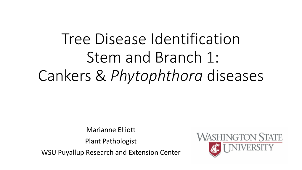 Tree Disease Identification: Cankers, Wilts, and Stem Decays