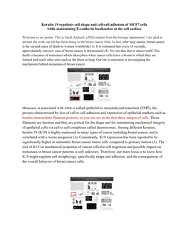 Keratin 19 Regulates Cell Shape and Cell-Cell Adhesion of MCF7 Cells While Maintaining E-Cadherin Localization at the Cell Surface