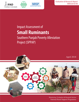Impact Assessment of Small Ruminants Southern Punjab Poverty Alleviation Project (SPPAP)