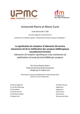 Université Pierre Et Marie Curie