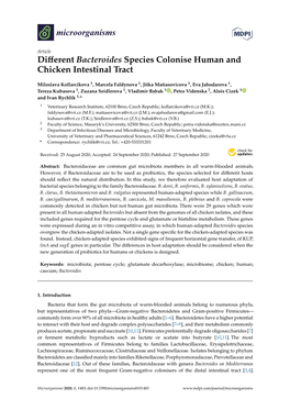 Different Bacteroides Species Colonise Human and Chicken