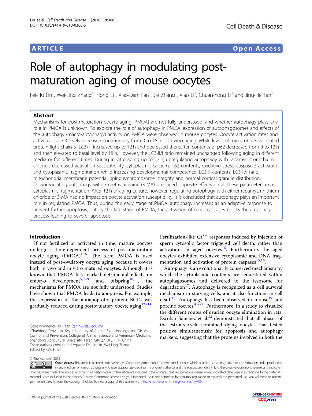 Role of Autophagy in Modulating Post-Maturation Aging of Mouse