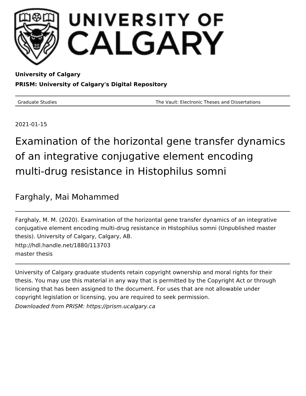 Examination of the Horizontal Gene Transfer Dynamics of an Integrative Conjugative Element Encoding Multi-Drug Resistance in Histophilus Somni