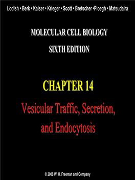 Vesicles Transport Proteins from the Plasma Membrane and Trans-Golgi Network to Late Endosomes