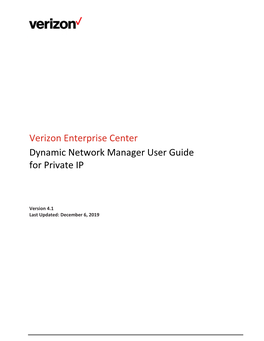 Dynamic Network Manager User Guide for Private IP