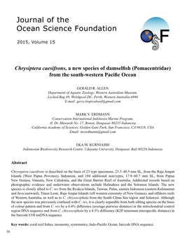 Chrysiptera Caesifrons, a New Species of Damselfish (Pomacentridae) from the South-Western Pacific Ocean