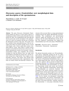 Diuronotus Aspetos (Gastrotricha): New Morphological Data and Description of the Spermatozoon