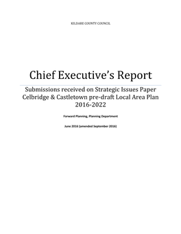 Chief Executive's Report on Submissions Received to Issues Paper