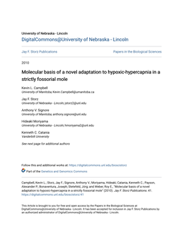 Molecular Basis of a Novel Adaptation to Hypoxic-Hypercapnia in a Strictly Fossorial Mole