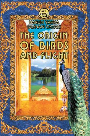 The Origin of Birds and Flight Ticular Purpose