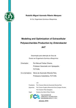 Modeling and Optimization of Extracellular Polysaccharides Production by Enterobacter A47
