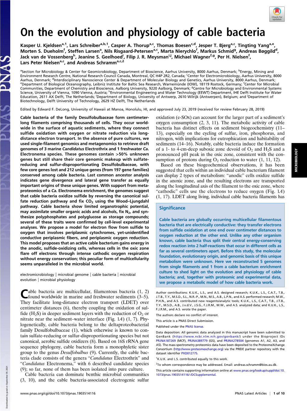 On the Evolution and Physiology of Cable Bacteria