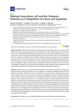 P53 and the Cathepsin Proteases As Co-Regulators of Cancer and Apoptosis