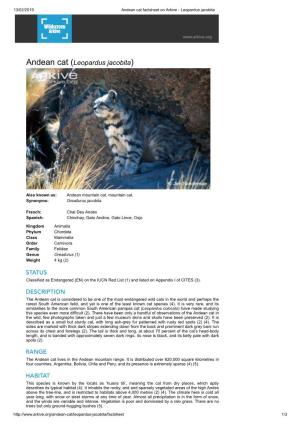 Andean Cat (Leopardus Jacobita)