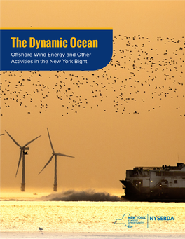 The Dynamic Ocean: Offshore Wind Energy and Other Activities in the New York Bight