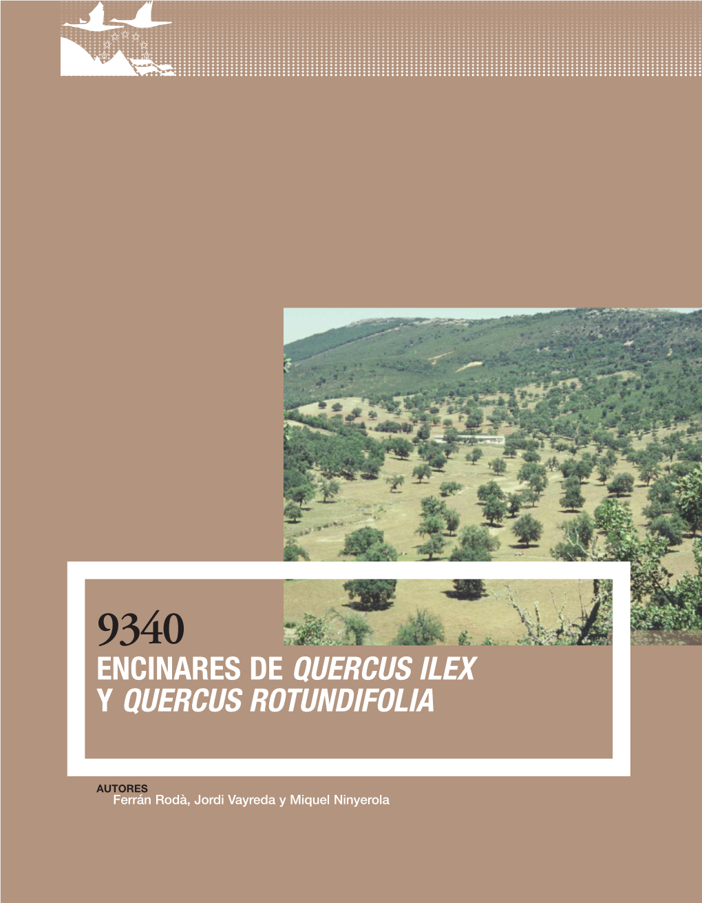 9340 Encinares De Quercus Ilex Y Quercus Rotundifolia