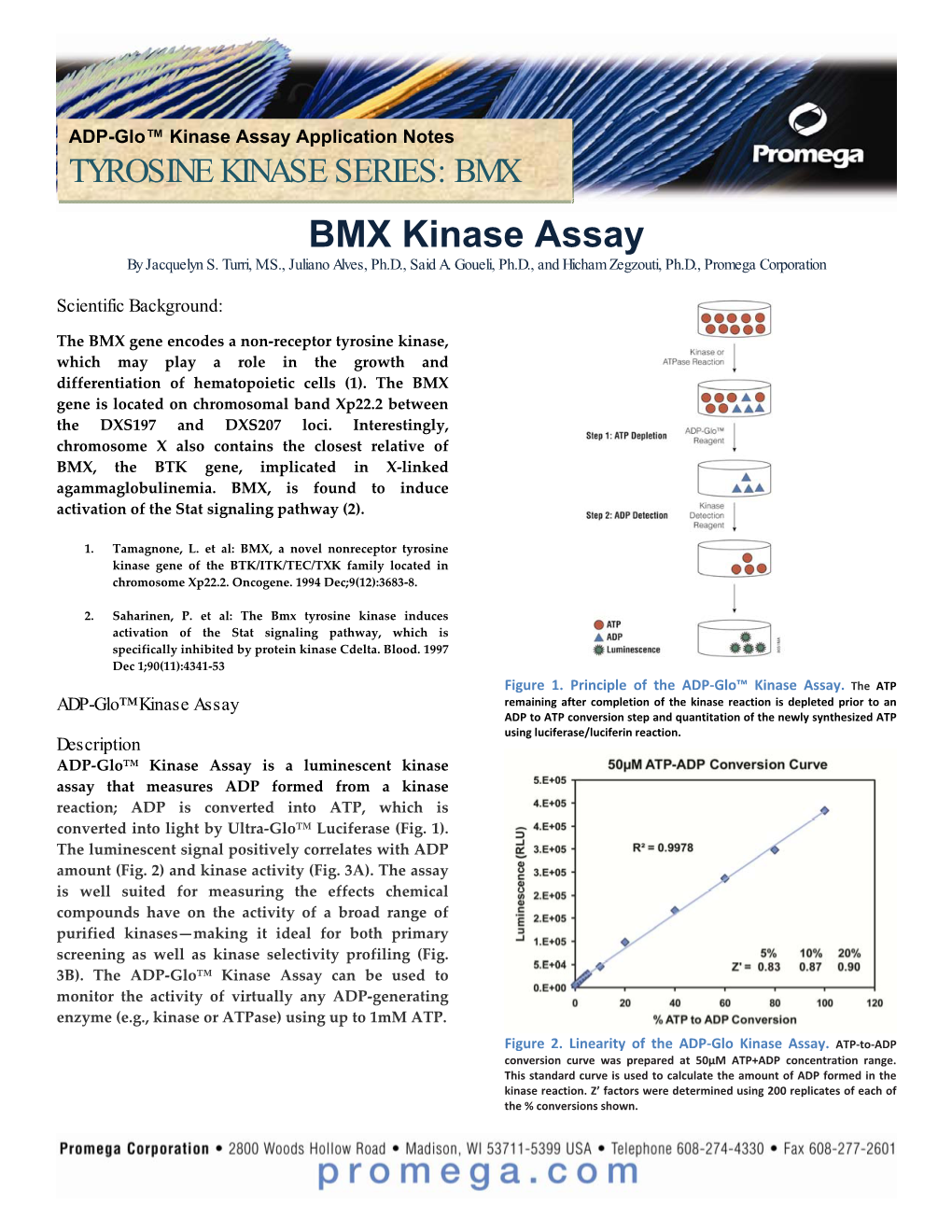 BMX BMX Kinase Assay