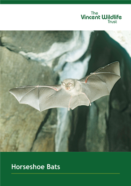 Horseshoe Bats