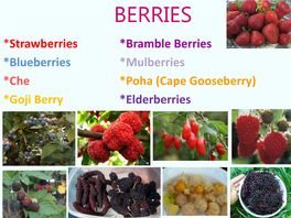 Berries for Southern California Rabbiteye Southern Highbush • Most Adaptive • Best Quality and Flavor • Most Productive • Most Self-Fruitful • Most Pest Tolerant