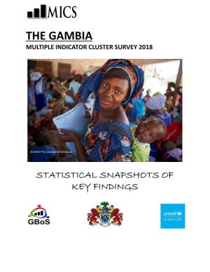 The Gambia 2018 MICS Statistical Snapshots