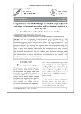 Comparative Assessment of Antifungal Potential of Zingiber Officinale and Allium Sativum Against Standard Antifungal Drugs Amphotericin B and Nystatin