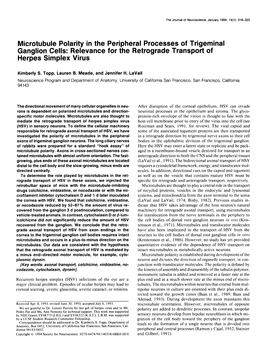 Microtubule Polarity in the Peripheral Processes of Trigeminal Ganglion Cells: Relevance for the Retrograde Transport of Herpes Simplex Virus