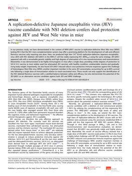 A Replication-Defective Japanese Encephalitis Virus (JEV)