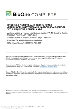 BRUCELLA PINNIPEDIALIS in GREY SEALS (HALICHOERUS GRYPUS) and HARBOR SEALS (PHOCA VITULINA) in the NETHERLANDS Authors: Michiel V