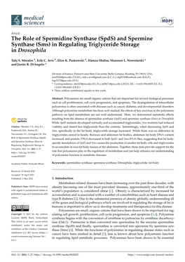 The Role of Spermidine Synthase (Spds) and Spermine Synthase (Sms) in Regulating Triglyceride Storage in Drosophila