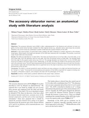 The Accessory Obturator Nerve: an Anatomical Study with Literature Analysis