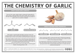 Garlic's Antibacterial Properties What Causes