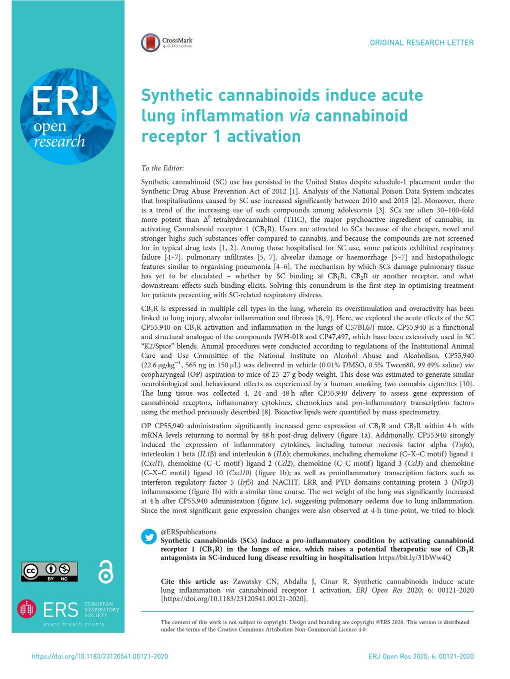 Synthetic Cannabinoids Induce Acute Lung Inflammation Via Cannabinoid Receptor 1 Activation