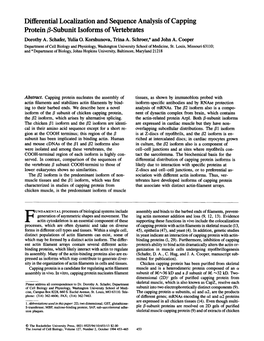 Differential Localization and Sequence Analysis of Capping Protein/%Subunit Isoforms of Vertebrates Dorothy A