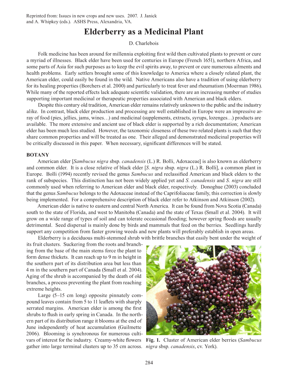 Elderberry As a Medicinal Plant D