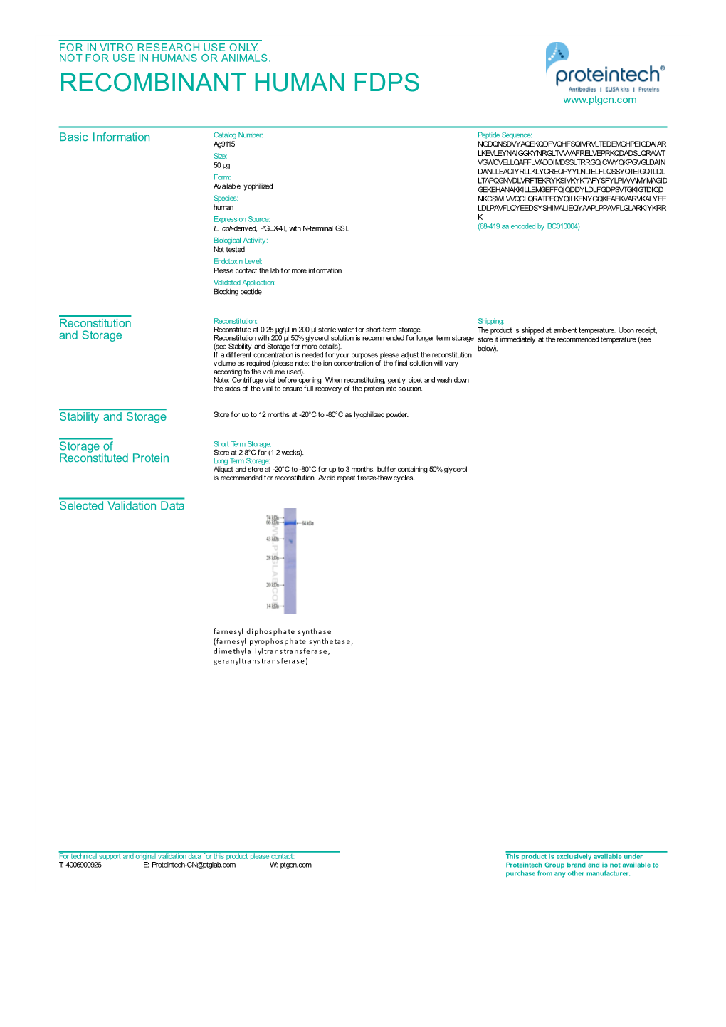 Recombinant Human Fdps