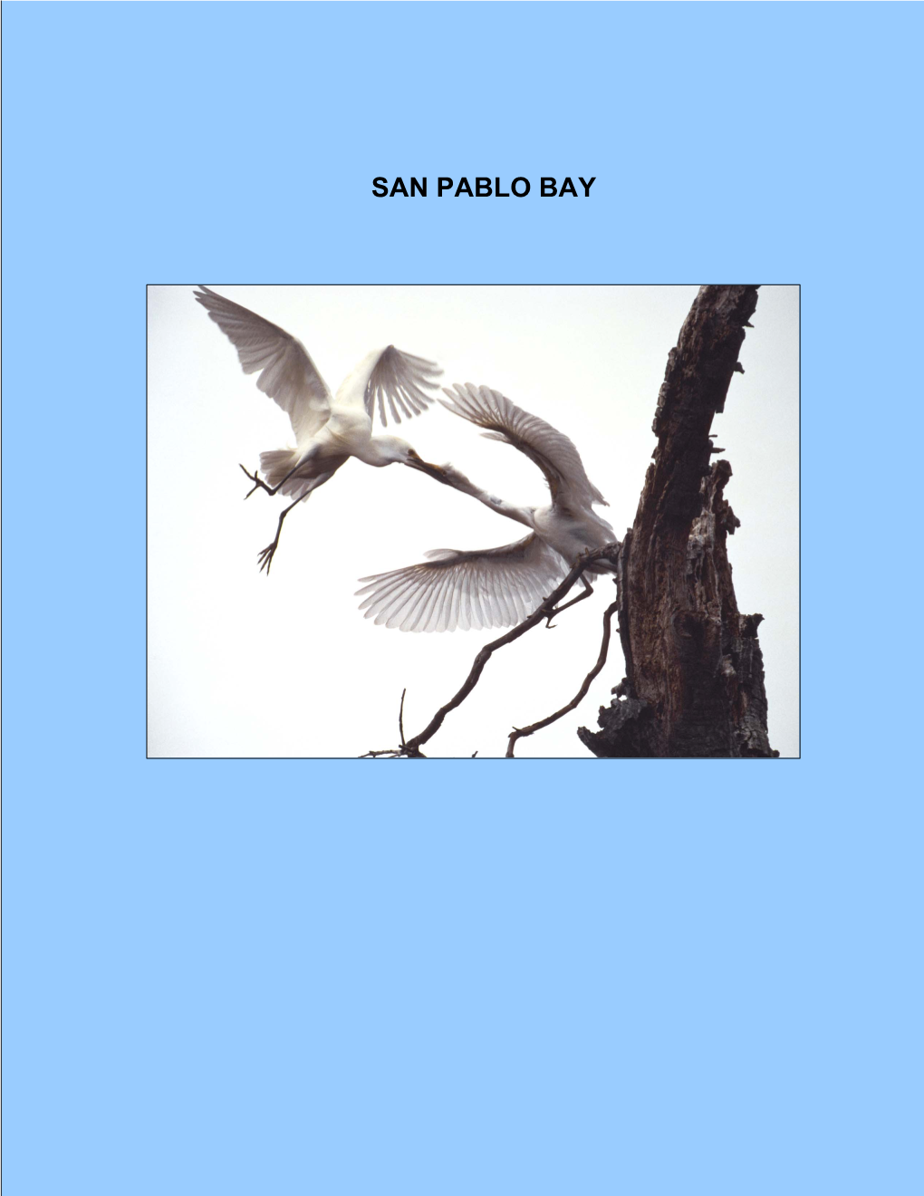 San Pablo Bay 103