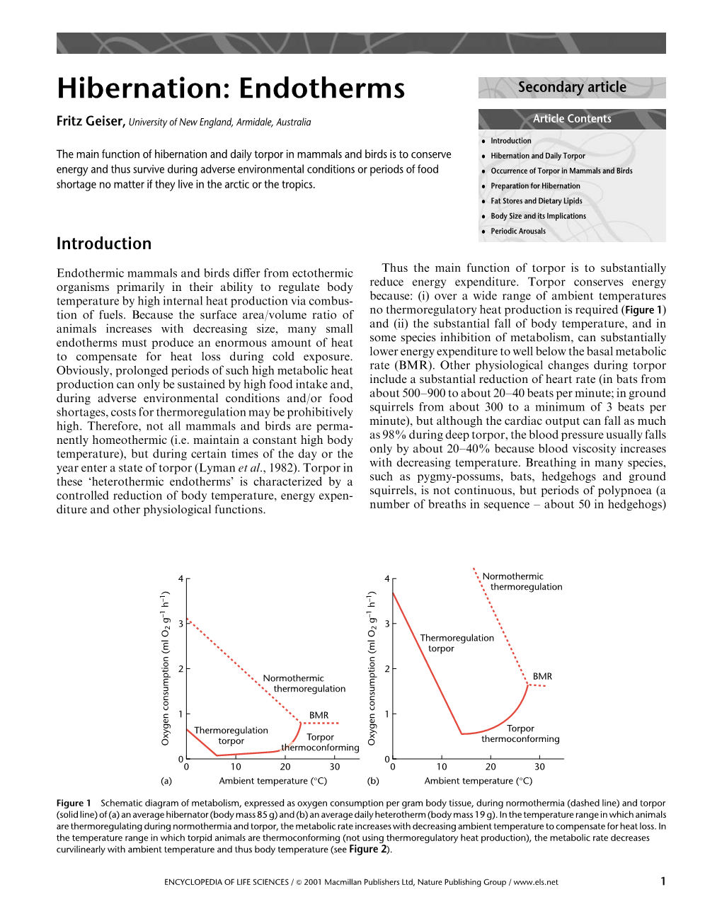 Hibernation: Endotherms Secondary Article