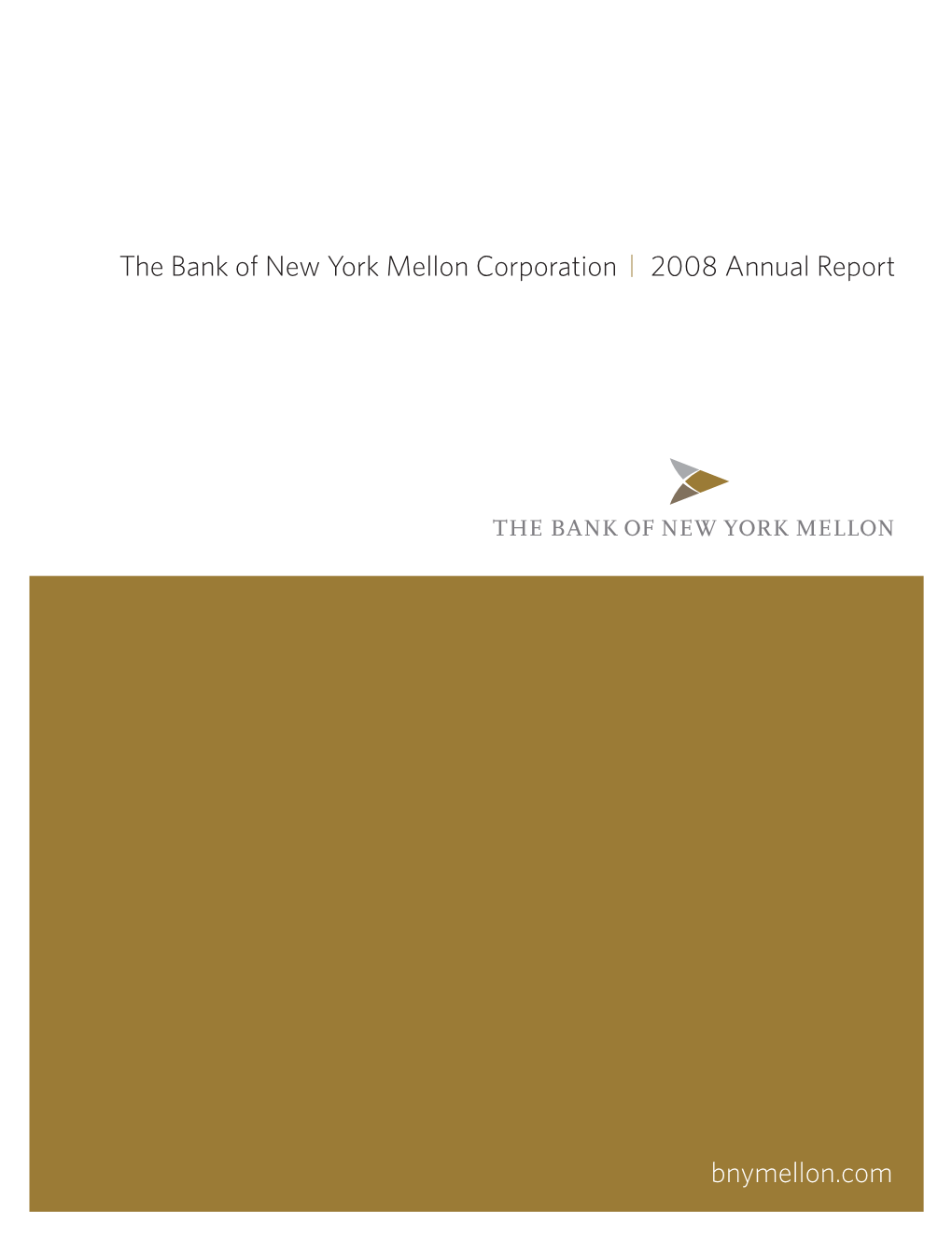 BNY Mellon 2008 Annual Report
