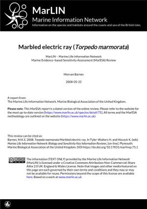 Marbled Electric Ray (Torpedo Marmorata)